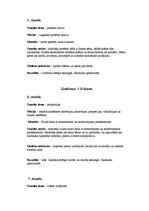 Prakses atskaite 'Bolderājas mūzikas un mākslas skola', 4.