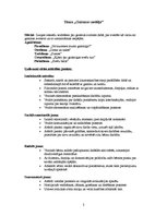 Prakses atskaite 'Integrētā mācību prakse pirmsskolā', 2.