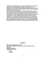 Prakses atskaite 'Integrētā mācību prakse pirmsskolā', 15.