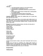 Prakses atskaite 'Integrētā mācību prakse pirmsskolā', 20.