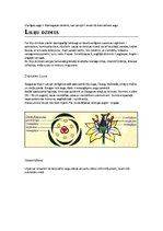 Referāts 'Augu dzimtas', 8.