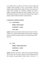 Referāts 'Efektīvas komandas veidošanas trenings', 11.