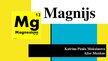Prezentācija 'Prezentācija par magniju', 1.