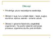Prezentācija 'Dārzeņu audzēšana pašapgādei un komercdarbībai', 2.