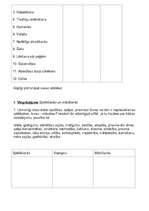 Konspekts 'Blūma taksonomija', 49.