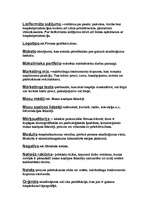 Konspekts 'Reklāmas termini', 4.