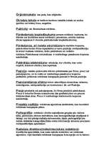 Konspekts 'Reklāmas termini', 5.