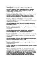 Konspekts 'Reklāmas termini', 6.