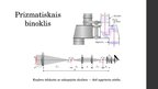 Prezentācija 'Binokļi', 6.