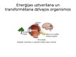 Prezentācija 'Efektīvs un videi draudzīgs enerģijas lietojums', 10.