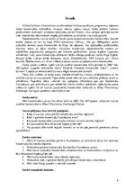 Referāts 'Koncertzāles - jaunie kultūras centri Latvijā', 5.