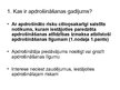 Prezentācija 'Tests "Apdrošināšanas pamatjēdzieni"', 2.