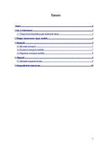 Referāts 'Konkurences teorija', 2.