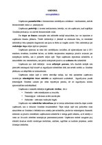 Konspekts '3 uzņēmumu izpēte, balstoties uz web lapās sniegto informāciju', 2.