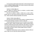 Konspekts '3 uzņēmumu izpēte, balstoties uz web lapās sniegto informāciju', 3.