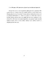 Diplomdarbs 'Fiziskās aktivitātes ietekme uz glikozes izmaiņām medicīnas koledžas studentiem', 27.