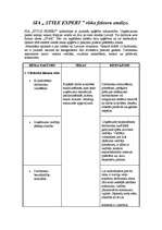 Konspekts 'SIA "Style Expert" riska faktoru analīze', 1.