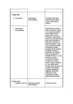 Konspekts 'SIA "Style Expert" riska faktoru analīze', 3.