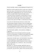 Referāts 'Vēsturiskā metroloģija', 4.