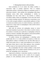 Referāts 'Nepilngadīgo aizdomās turēto nopratināšanas īpatnības', 6.