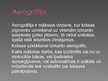 Prezentācija 'Aerogrāfija', 2.