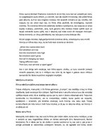 Eseja 'Filmas "Laika ceļotāja sieva" semiotiskā analīze', 2.