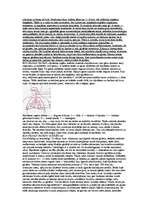 Konspekts 'Elpošana, elpināšana', 3.