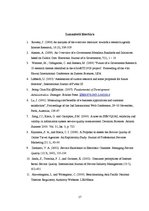 Referāts 'E-pakalpojumi un to izmantošana skolēnu vidū', 17.