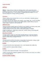 Konspekts 'Difterija', 1.