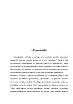 Referāts 'Ugunsdrošība', 5.