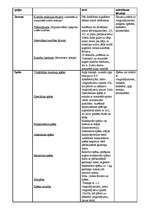 Konspekts 'Sporta teorija', 3.