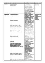 Konspekts 'Sporta teorija', 4.