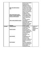 Konspekts 'Sporta teorija', 5.