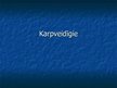 Prezentācija 'Karpveidīgie', 1.