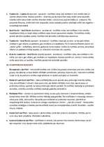 Konspekts 'Psiholoģija', 14.