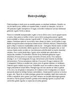 Konspekts 'Dzērvjveidīgie putni', 1.