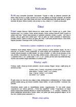 Referāts 'Bērni ar runa un valodas traucējumiem', 12.