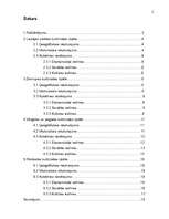 Referāts 'Kultūrvides izpēte – Liepāja – Ziemupe – Vērgale - Pāvilosta', 2.