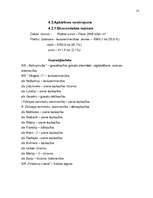 Referāts 'Kultūrvides izpēte – Liepāja – Ziemupe – Vērgale - Pāvilosta', 12.