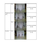 Referāts 'Peroksidāzes aktivitātes noteikšanu auzu produktos', 15.