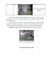 Referāts 'Peroksidāzes aktivitātes noteikšanu auzu produktos', 17.