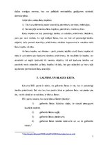 Referāts 'Lietu iedalījums. Lietu kopība', 7.