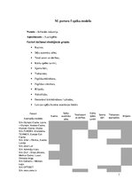 Konspekts 'M.Portera piecu spēku modelis - izklaides industrija - azartspēles', 1.