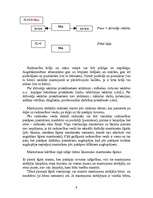 Referāts 'Mantojuma dalīšana', 9.