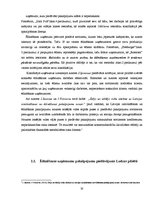 Referāts 'Ēdināšanas uzņēmumu pakalpojumu piedāvājuma analīze Rēzeknes un Ludzas pilsētās', 20.
