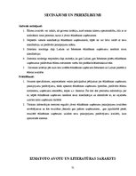 Referāts 'Ēdināšanas uzņēmumu pakalpojumu piedāvājuma analīze Rēzeknes un Ludzas pilsētās', 31.