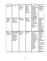 Referāts 'Ēdināšanas uzņēmumu pakalpojumu piedāvājuma analīze Rēzeknes un Ludzas pilsētās', 47.