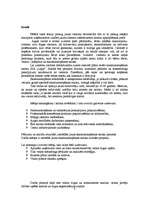 Diplomdarbs 'Jauna uzņēmuma SIA "Laipa" attīstības plāns', 8.