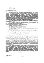 Diplomdarbs 'Jauna uzņēmuma SIA "Laipa" attīstības plāns', 10.