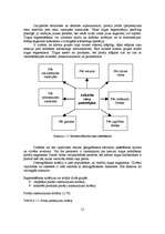 Diplomdarbs 'Jauna uzņēmuma SIA "Laipa" attīstības plāns', 21.